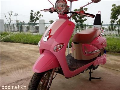  赛湖电动车XJG